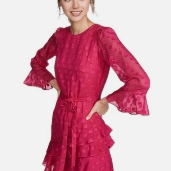 SALONI Dresses & Skirts - 🩷 NEW SALONI Marissa Polka Dot Ruffle Dress Fuchsia Pink